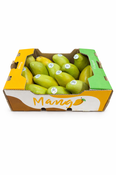 Ataulfo Mango (8.8lbs)