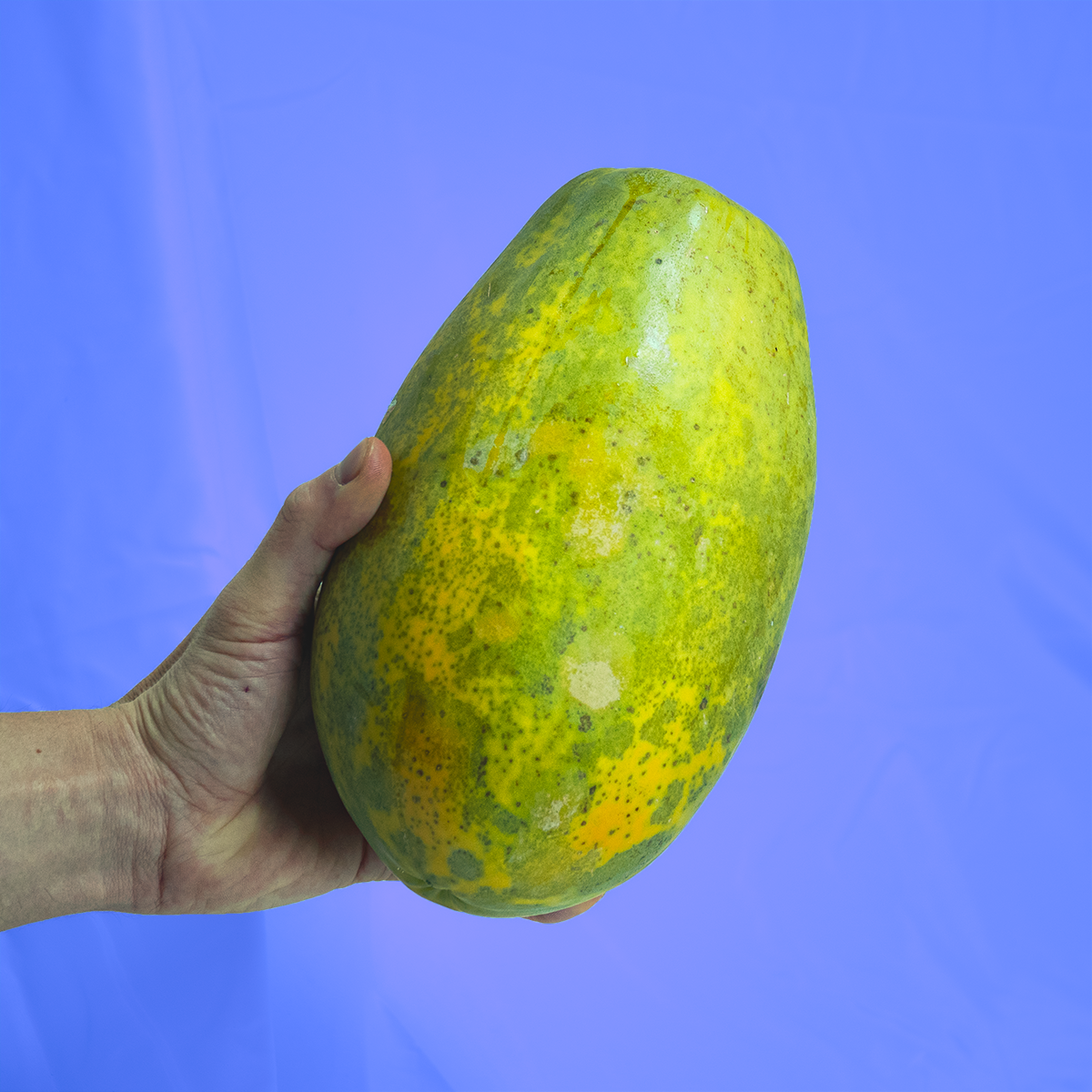 Papaya
