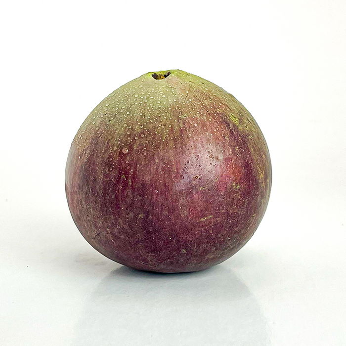 Purple Star Apple (Milk Fruit)