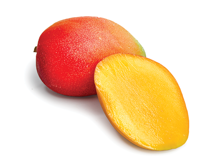 Brazilian Kent Mango - 4KG