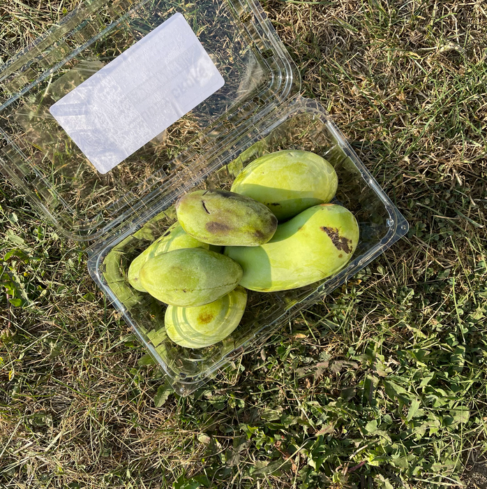 Pawpaw (2lb)