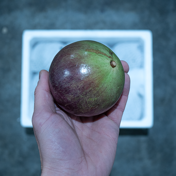 Purple Star Apple (Milk Fruit)