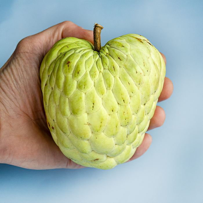 Custard Apple