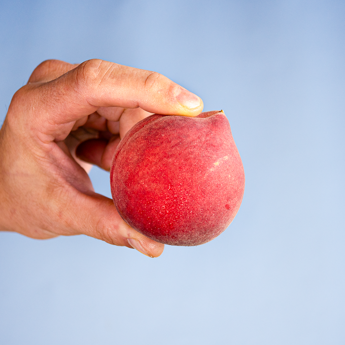 White Freestone Peaches (2.2lb)