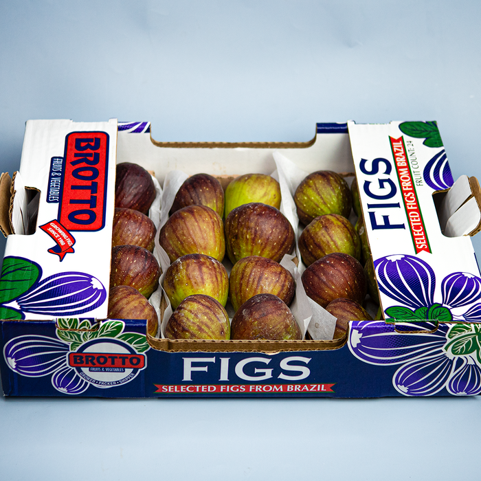 Brown Turkey Figs x24