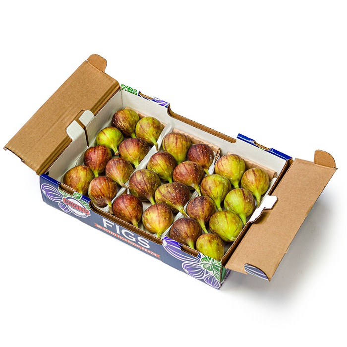 Brown Turkey Figs x24