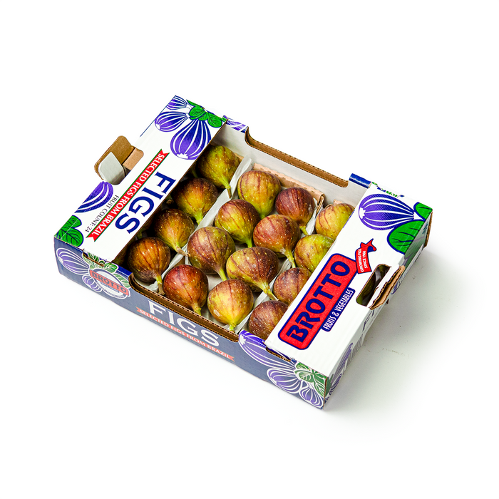 Brown Turkey Figs x24