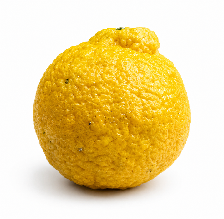 Dekopon