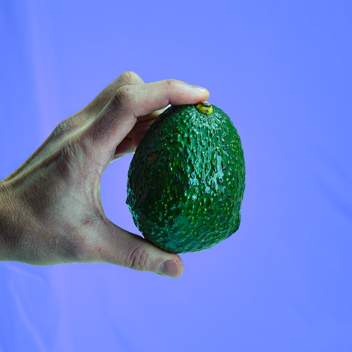 Avocados