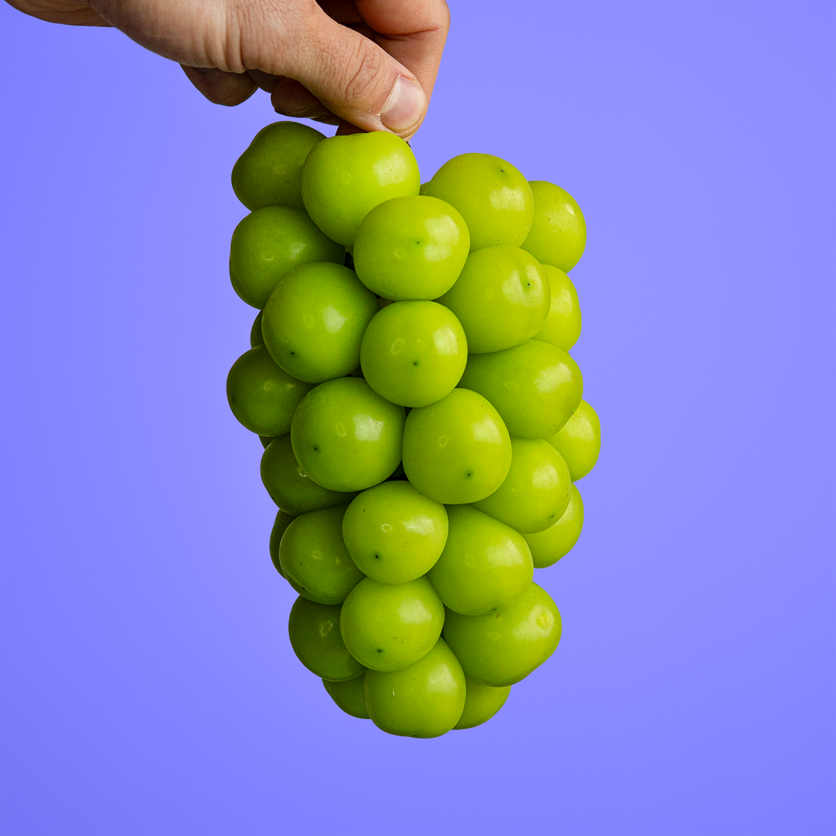 Grapes