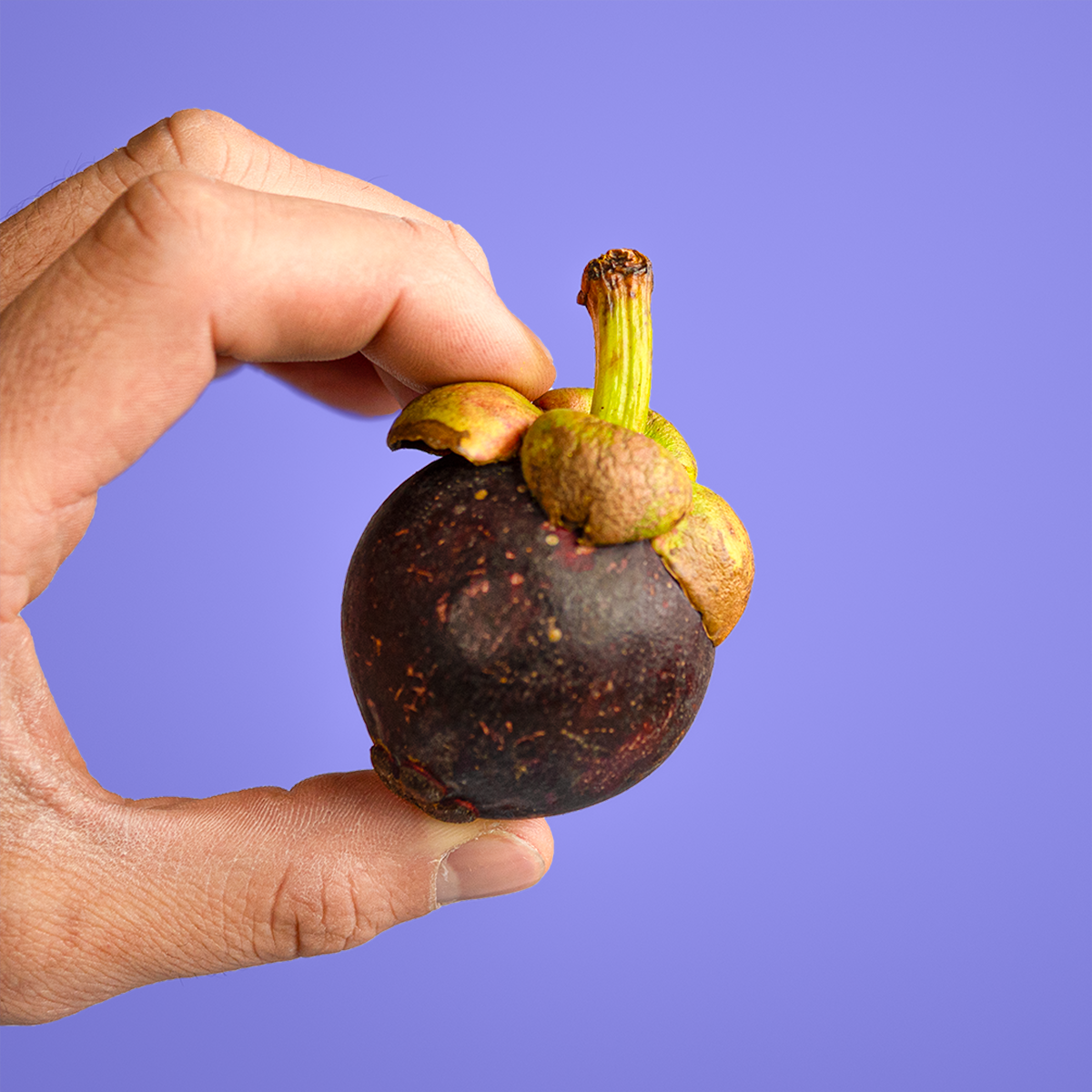 Mangosteen