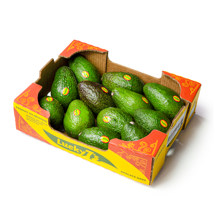 Lucky 7's Hass Avocado