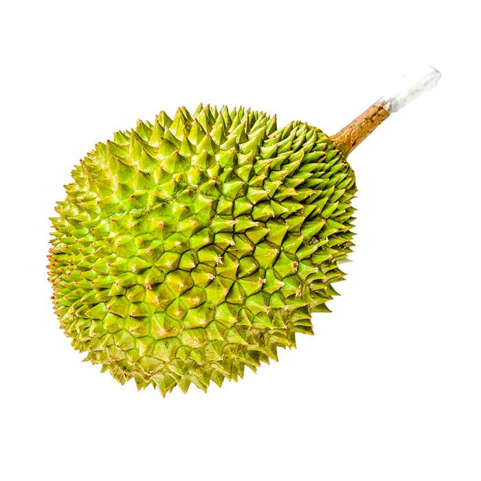 Musang King Durian
