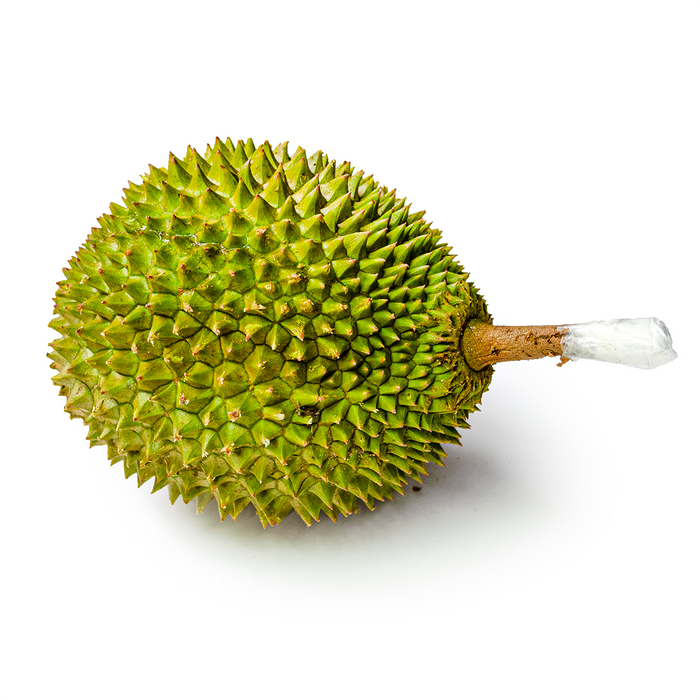 Musang King Durian