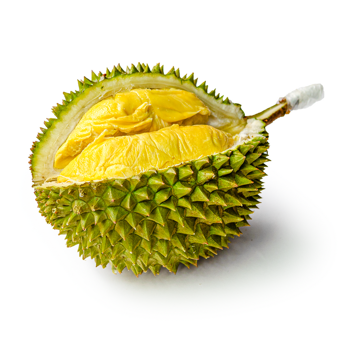 Musang King Durian