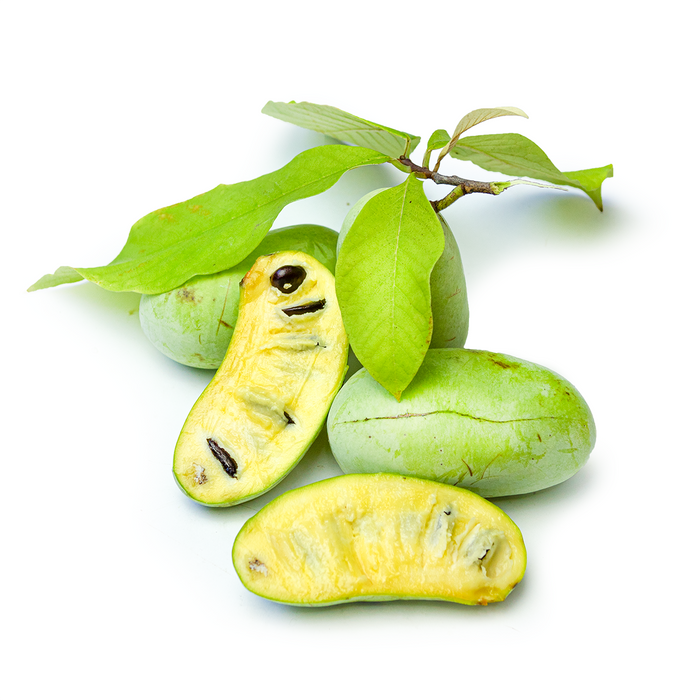 Pawpaw (2lb)