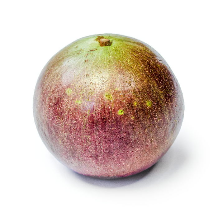 Purple Star Apple (Milk Fruit)
