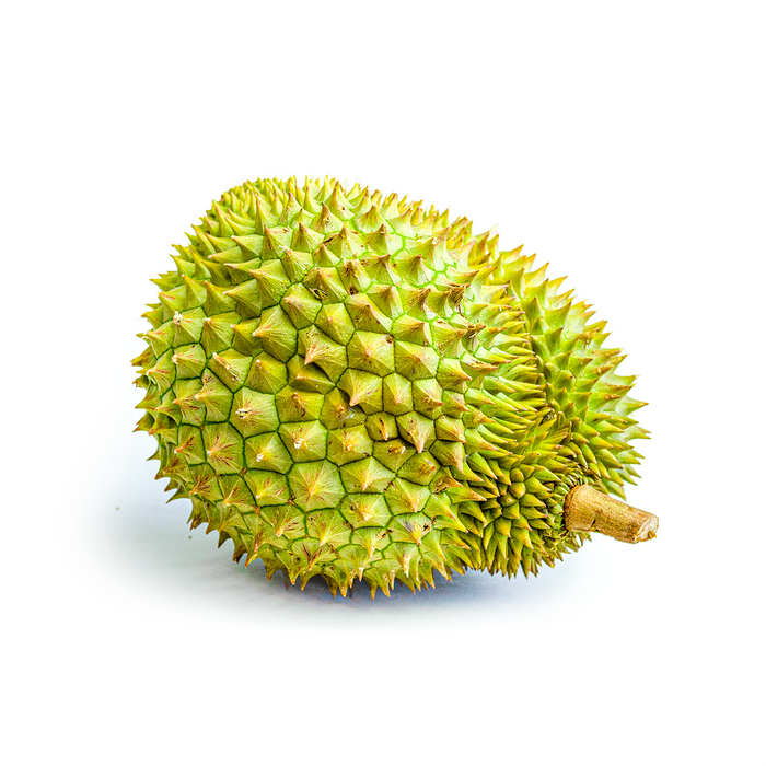RI-6 Durian (5lb)