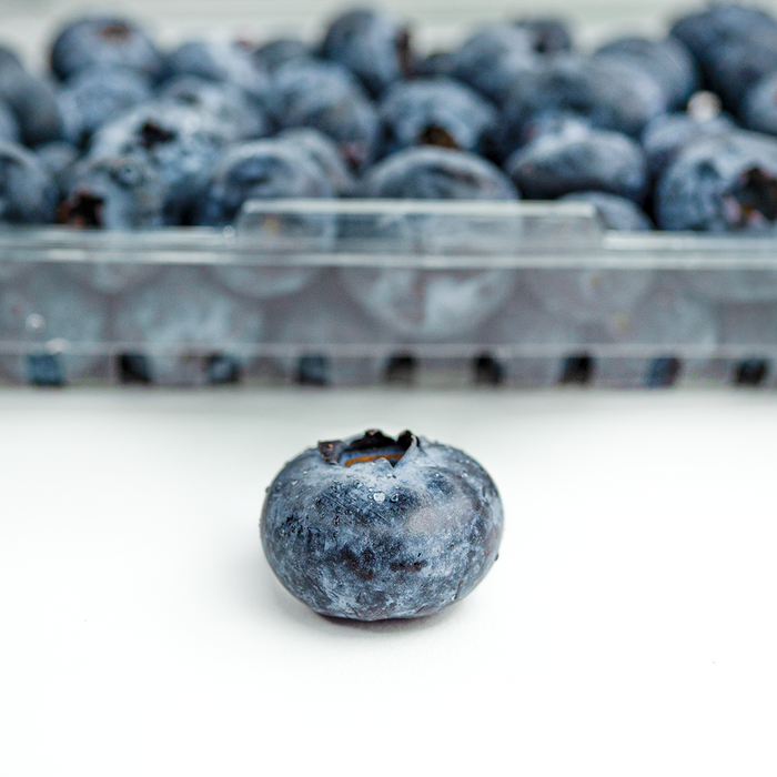 Sweetest Batch Blueberries (11oz)