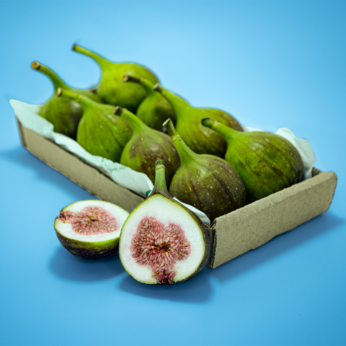 Brown Turkey Figs x24