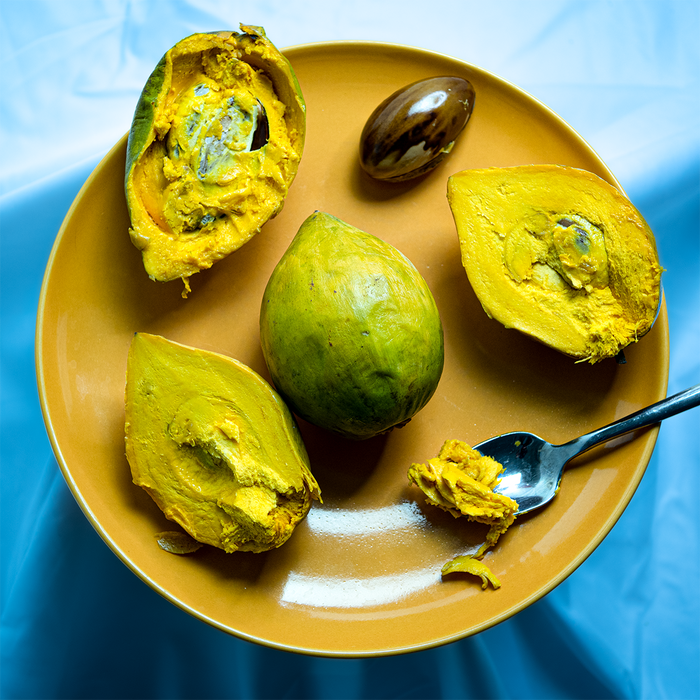 Egg Fruit (Canistel)