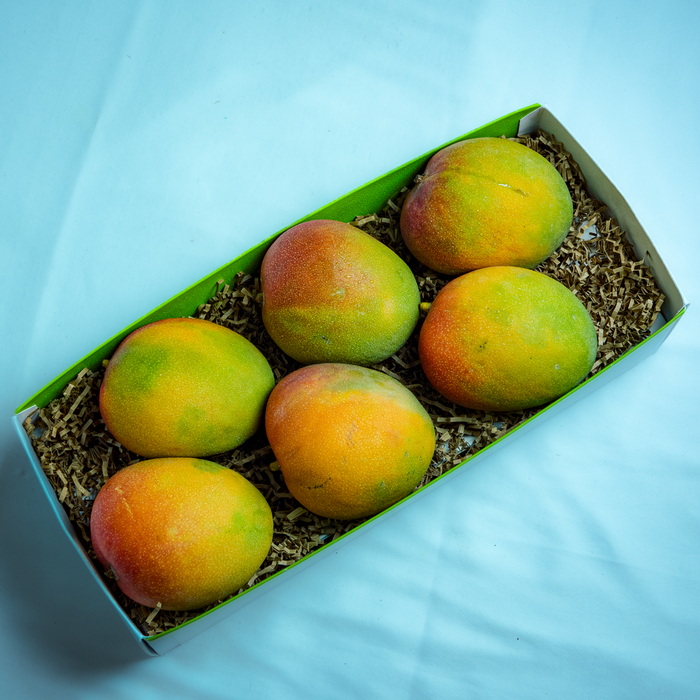 Brazilian Kent Mango - 4KG