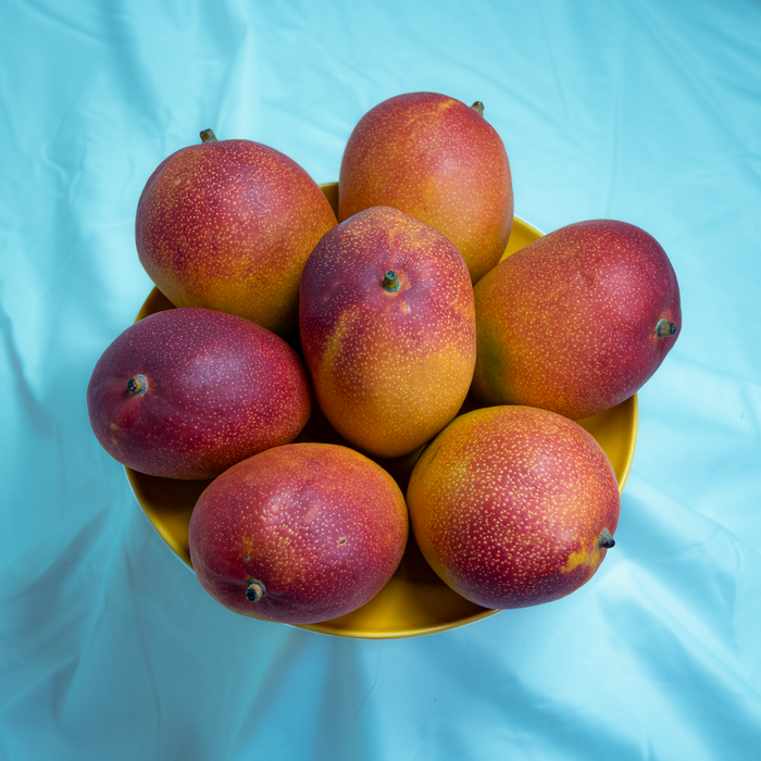 El Paca Peruvian Kent Mango