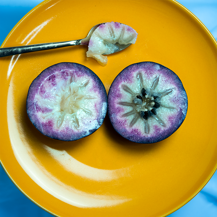 Purple Star Apple (Milk Fruit)