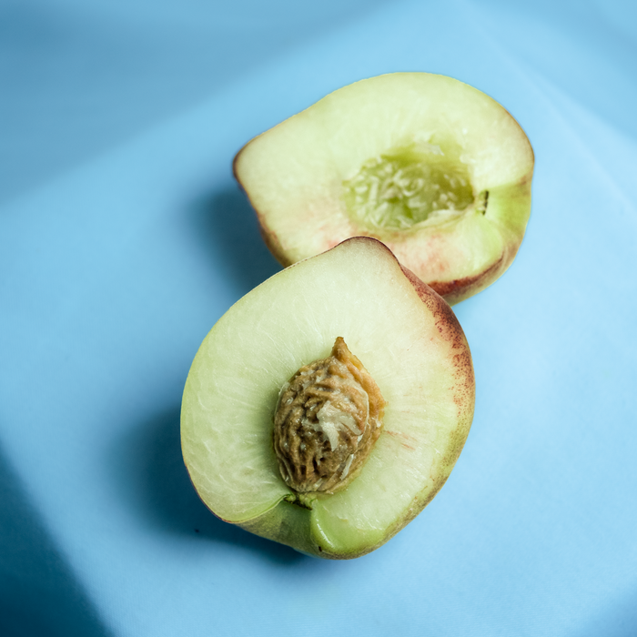 White Freestone Peaches (2.2lb)