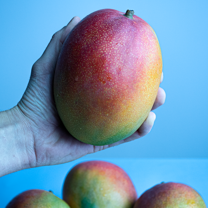 El Paca Peruvian Kent Mango