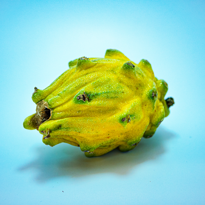 Two Yellow Pitahaya