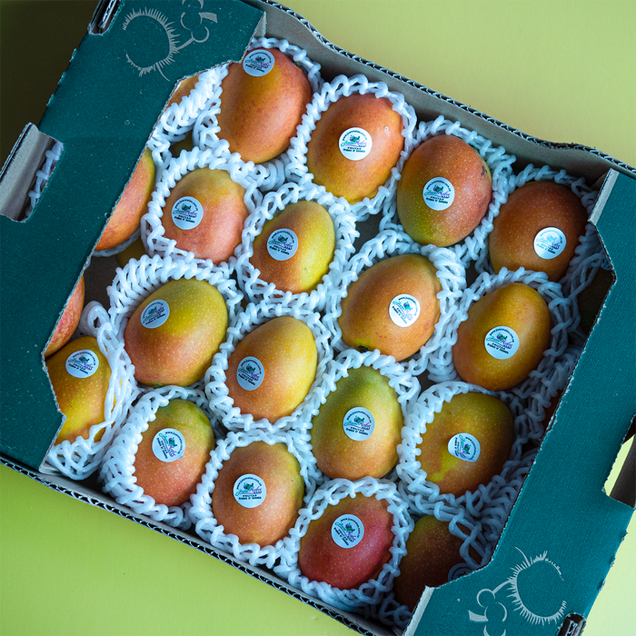 Sugar Mango (2kg)